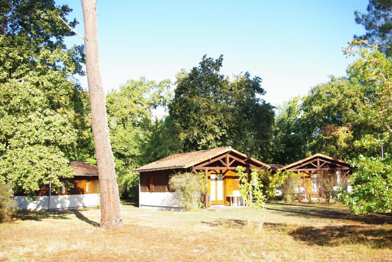 Les Chalets Du Gelat, Nature Et Calme Noaillan Exteriör bild